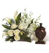 At Peace Arrangement