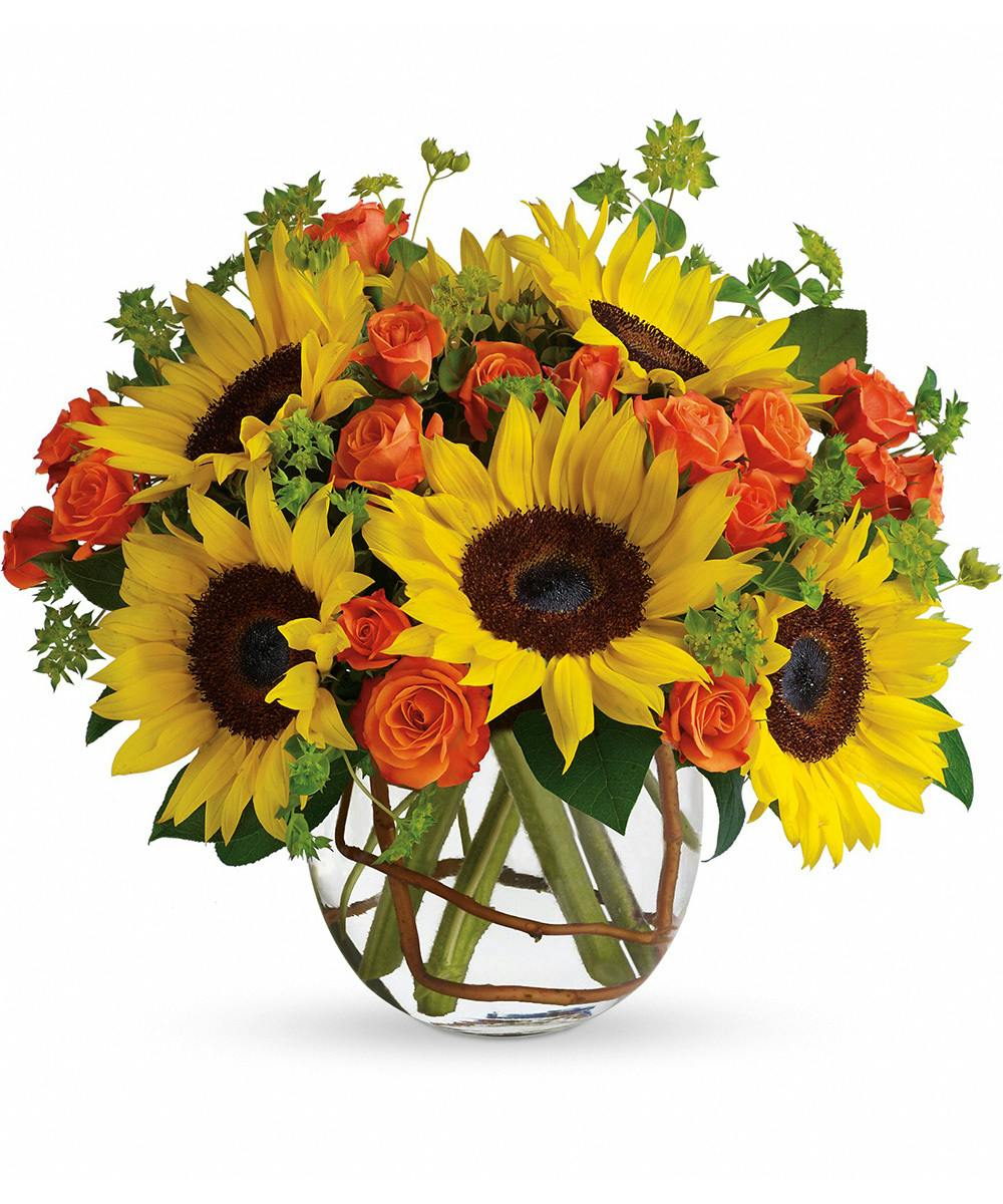 Image of Sunflowers summer annuals from pinterest.com