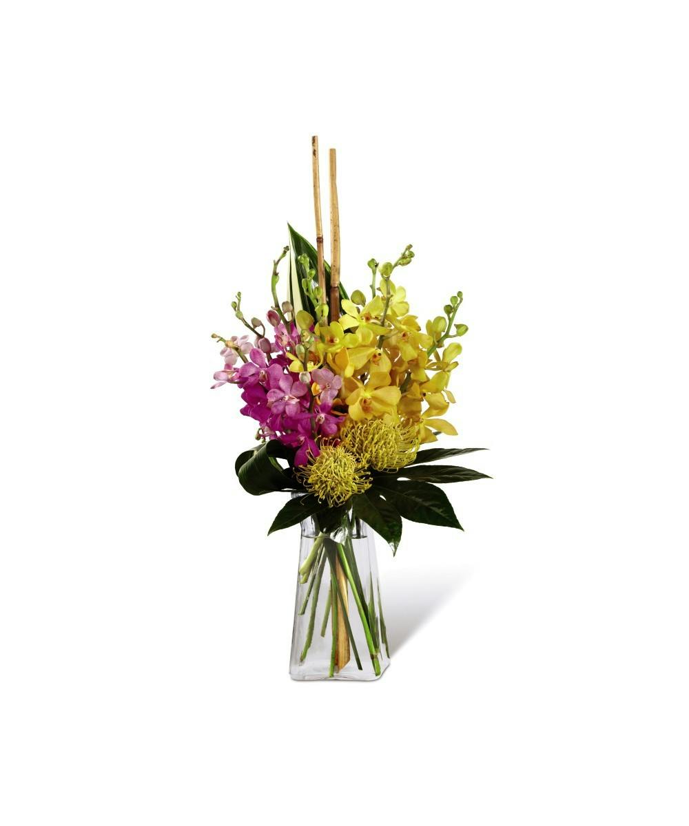 Touch of Tropics | Pueblo (CO) Tropical Flower Delivery ...