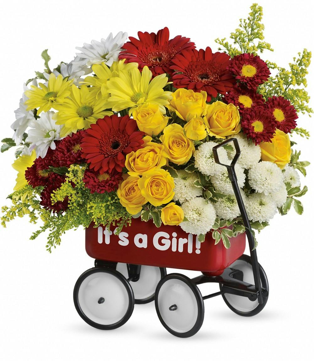 Baby's Wow Wagon | Pueblo (CO) New Baby Flowers | Campbell's