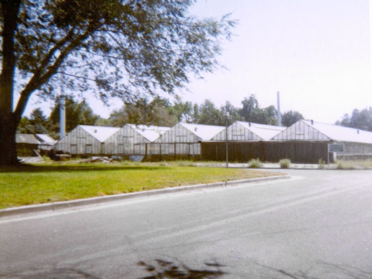 Five greenhouses now support our thriving business, seen here in an undated exterior photo