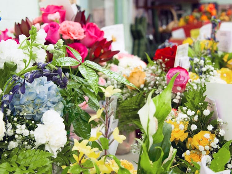A wide range of colorful flowers and arrangements awaiting selection